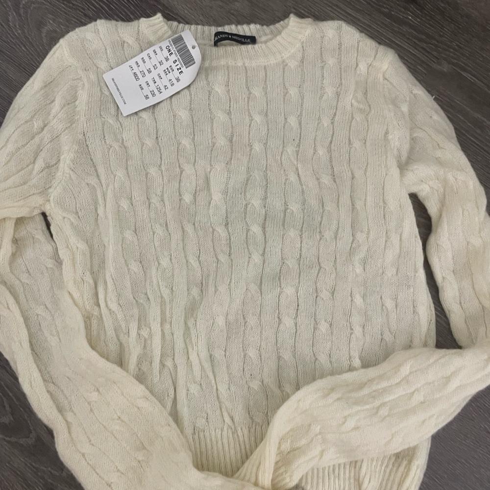 NWT brandy Melville sweater
